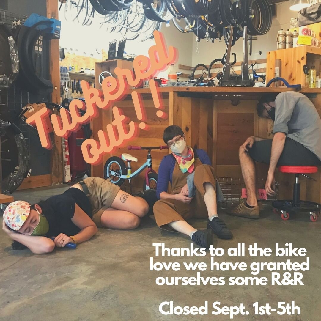 In photo: Cassandra(on floor), Miranda(middle), Jim (tucked away)